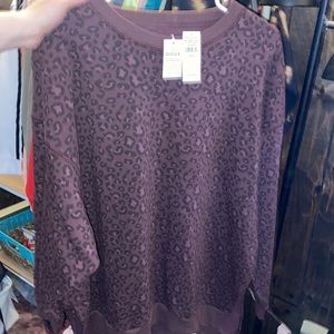 BRAND NEW WITH TAGS AMERICAN EAGLE CREW NECK